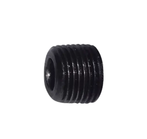 Plug - Throttle Valve | 7079